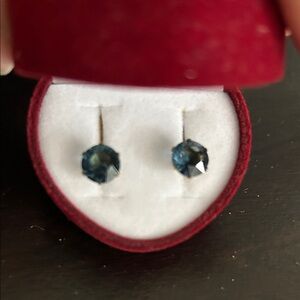 Alex and Ani Montana Blue Earrings